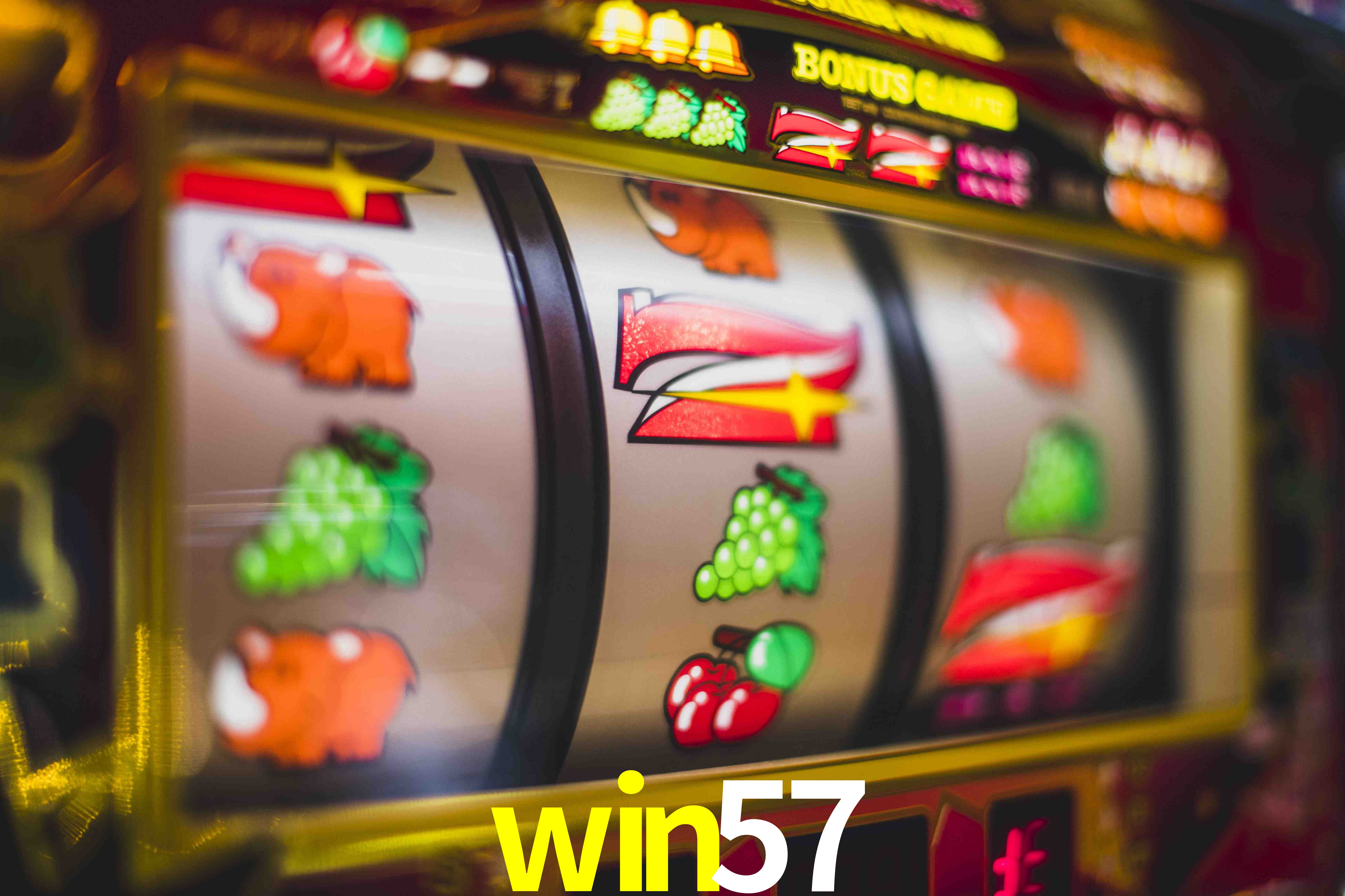 Experiência VIP win57